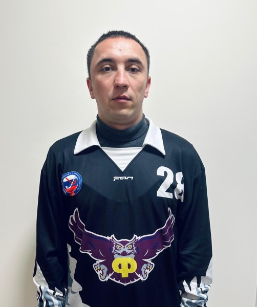 Дмитрий Андреевич Востриков