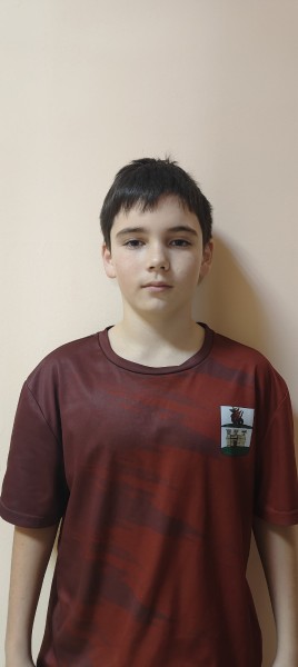 Ранель Ленарович шарафиев