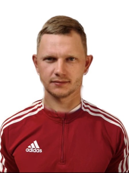 Александр Романович Левин