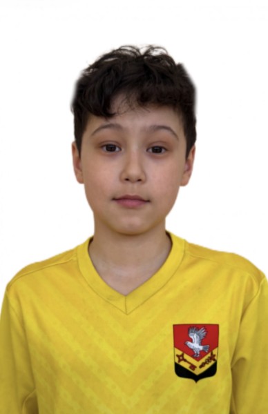 Руслан Эргашович Шамсиев