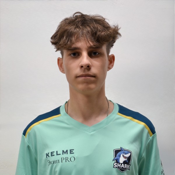 Александр Сергеевич Головков