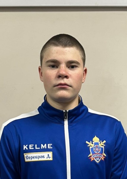 Давид Николаевич Серебров