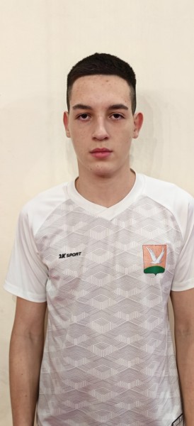 Алмаз Айдарович Шарипов