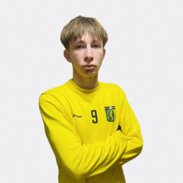 Николай Валерьевич Гусев