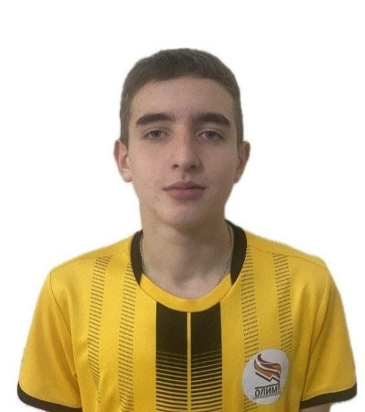 Мирослав Павлович Цыганов