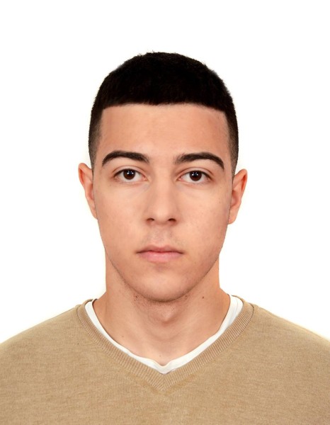 Людвиг Врежович Туманян