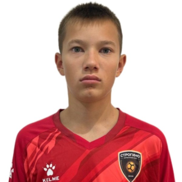 Арсений Ильич Ермолаев