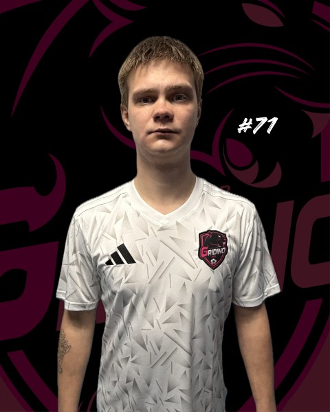 Владислав Дмитриевич Лямин