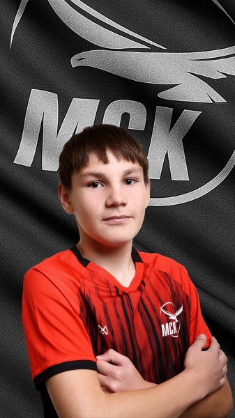Александр Ильич Минеев