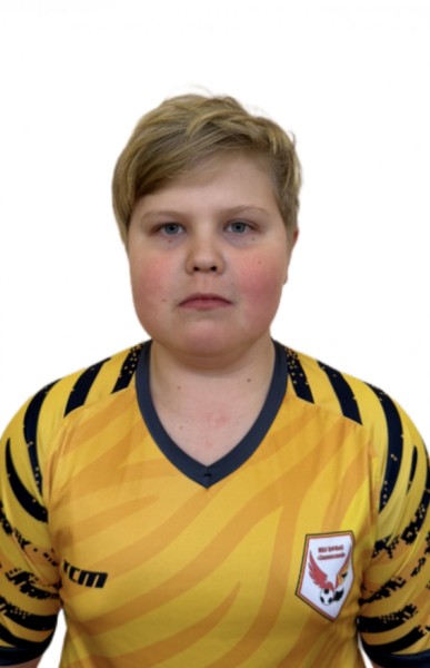Лев Денисович Вангонен