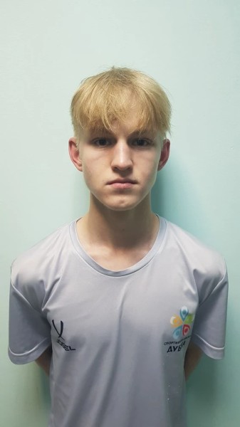 Арсений Яковлевич Сергеев