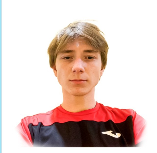 Михаил Михайлович Михеев
