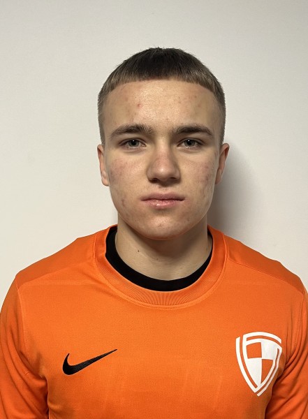 Владимир Ильич Мевлютов