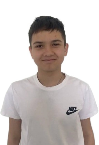 Ильсаф Айратович Сибишев