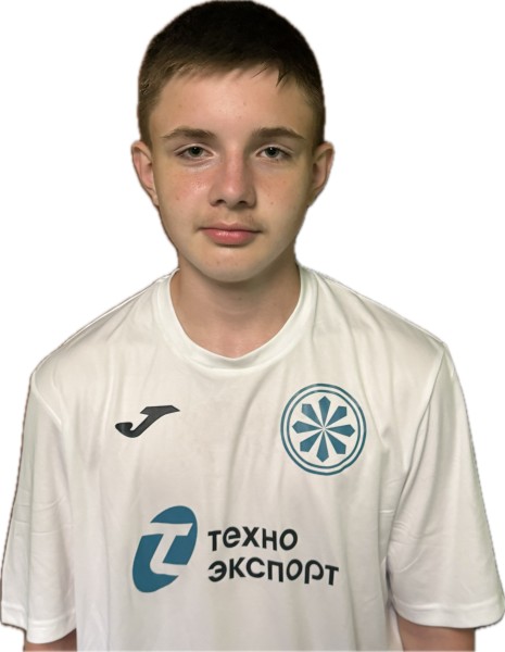 Николай Егорович Ильин
