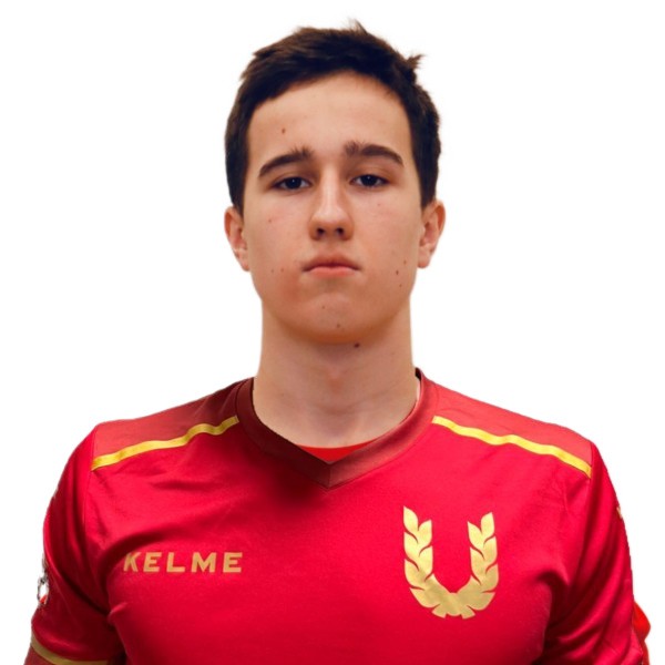 Владислав Романович Шевяков