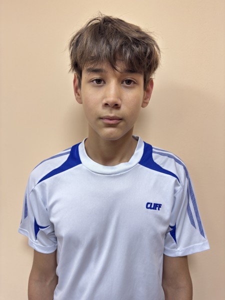 Милан Романович Гаязов