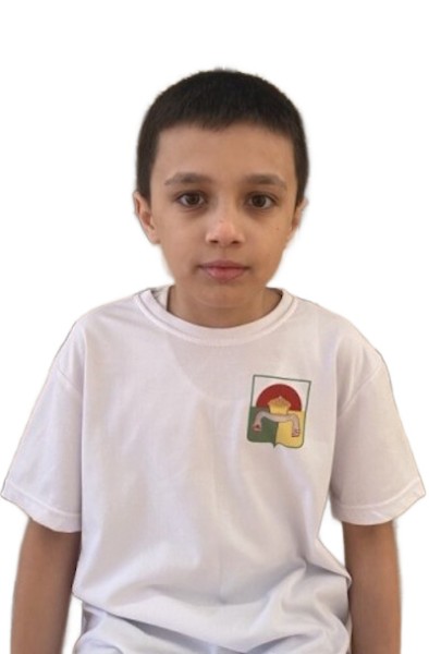 Нияз Линарович Усманов