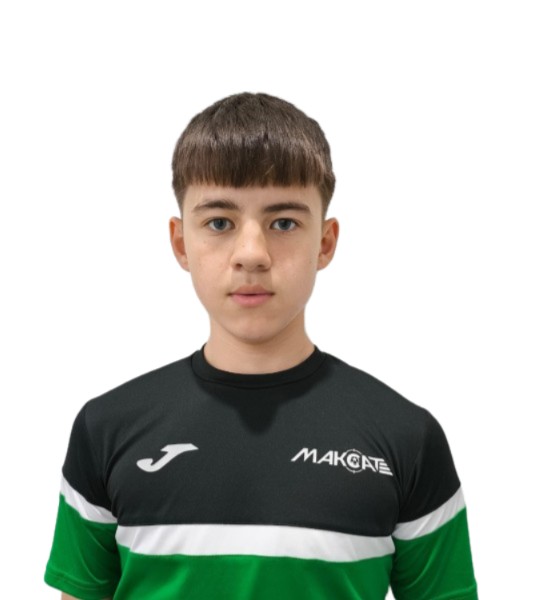 Ильхам Айратович Салихов