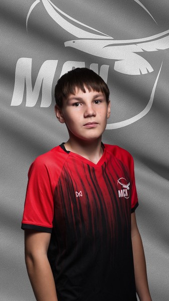 Александр Ильич Минеев