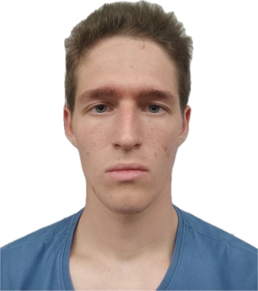 Александр Александрович Несмеянов