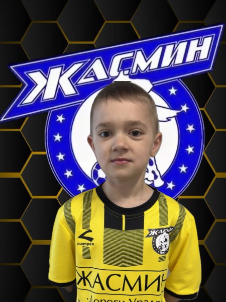 Арсений Александрович Фетисов