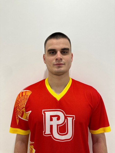 Денис Романович Воробьёв