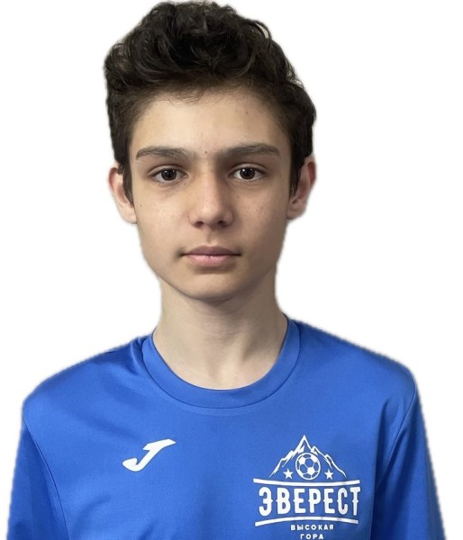 Амир Рамисович Хисамов