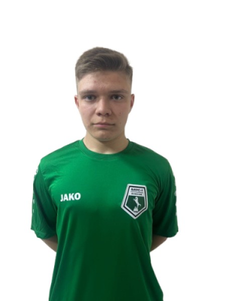 Александр Александрович Иванов