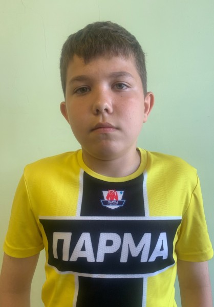 Александр Александрович Царегородцев