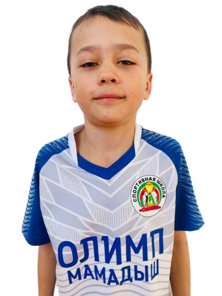 Ильяс Ильдарович Гарипов