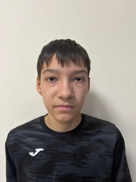 Михаил Витальевич Лямзин