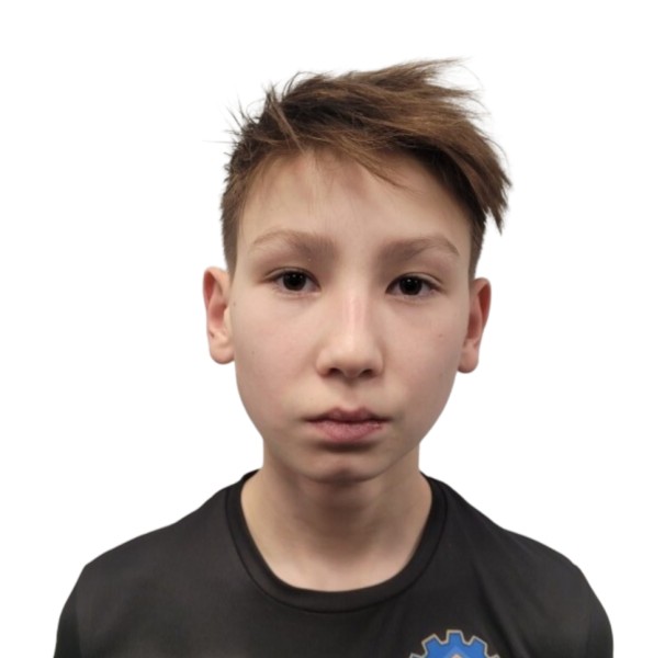 Нияз Ильясович Бадриев