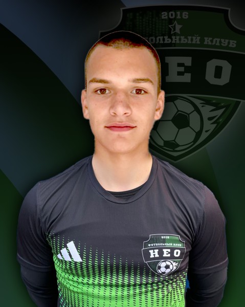 Никита Романович Котенин