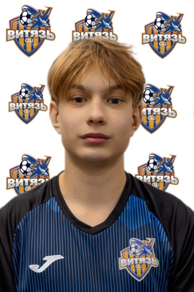 Дмитрий Игоревич Ижиченко