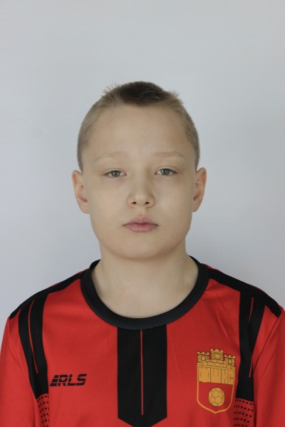 Александр Иванович Гусаревич