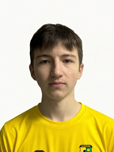Александр Алексеевич Елатомцев