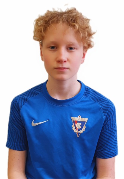 Роман Алексеевич Докичев