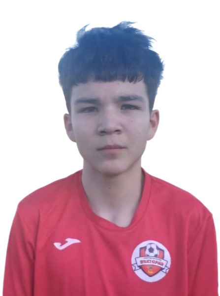 Эмиль Ильдарович Тимергалиев