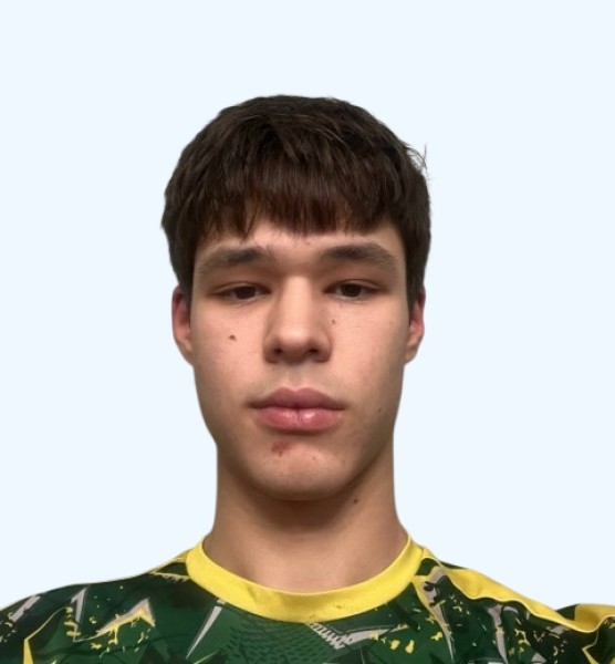 Ренат Ильдарович Галиев