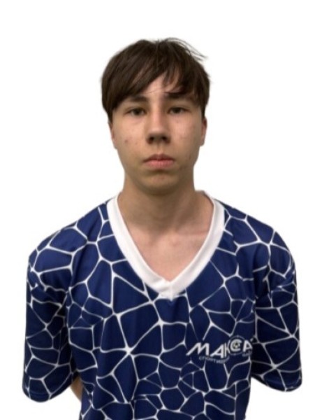 Данис Радикович Шафеев