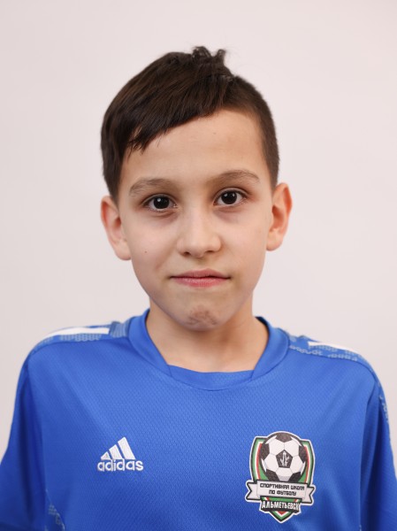 Амир Ильдарович Димухаметов