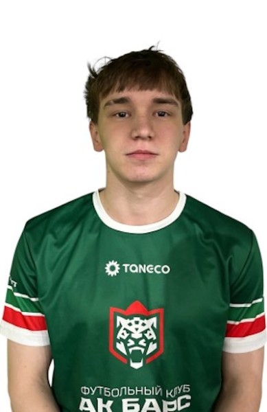 Нияз Ильнурович Гареев