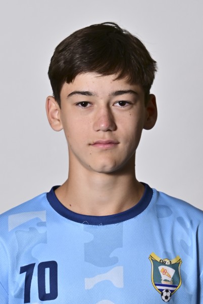 Амир Ринатович Зиганшин