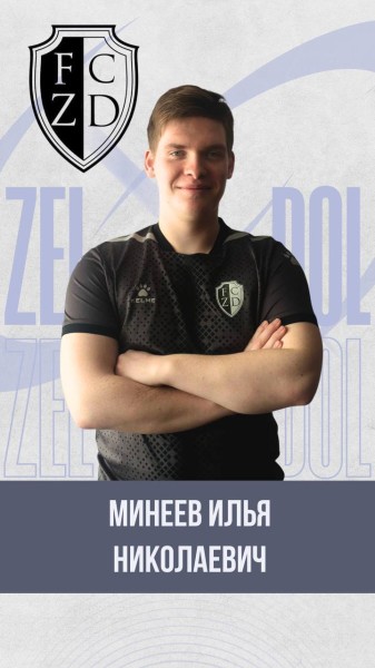 Илья Николаевич Минеев