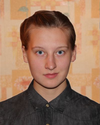 Школа минеева