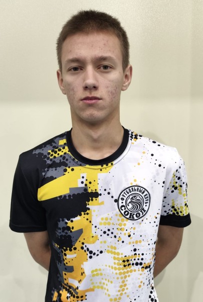 Михаил  Дарие