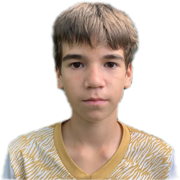 Реналь Камилевич Ибрагимов