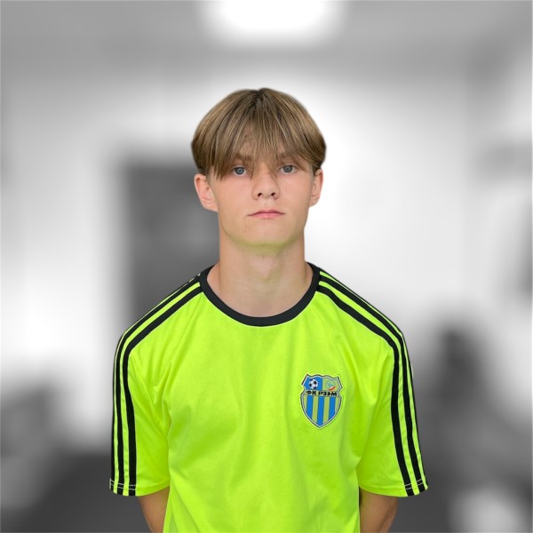 Андрей Игоревич Стенин