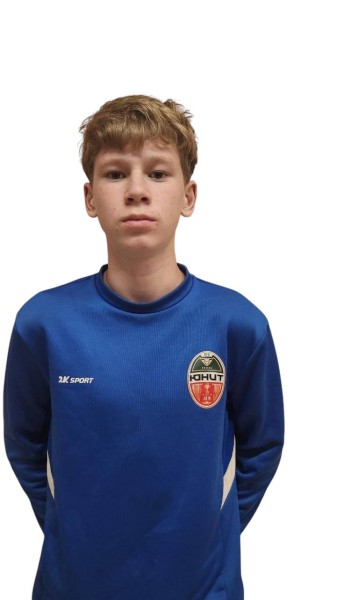 Данис Раилевич Шафеев